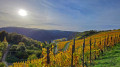 Von St. Goarshausen zur Loreley Von St. Goarshausen zur Loreley