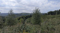 Durch den Wald zwischen Herdorf, Biersdorf und Niederdreisbach