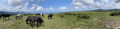Rundwanderung am Col d'Lbardin Boucle au col d'lbardin