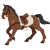 Reiten